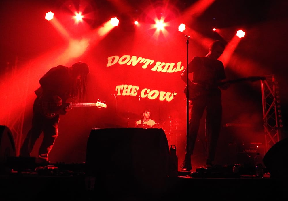 Live Don't Kill The Cow